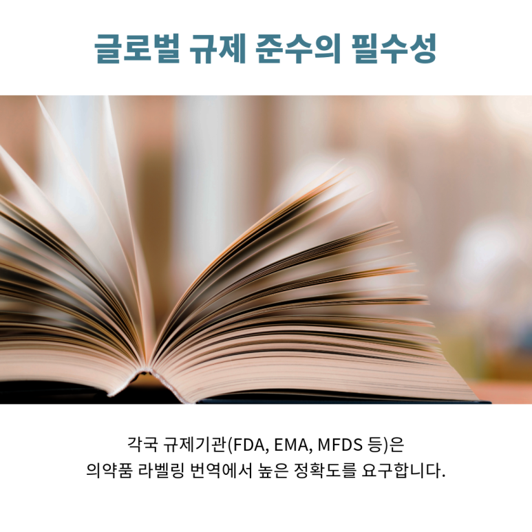 img 1760920684 68f5846c6776a