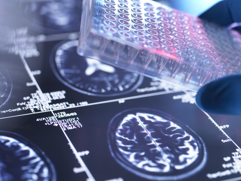 img 1760923527 68f58f87934b4