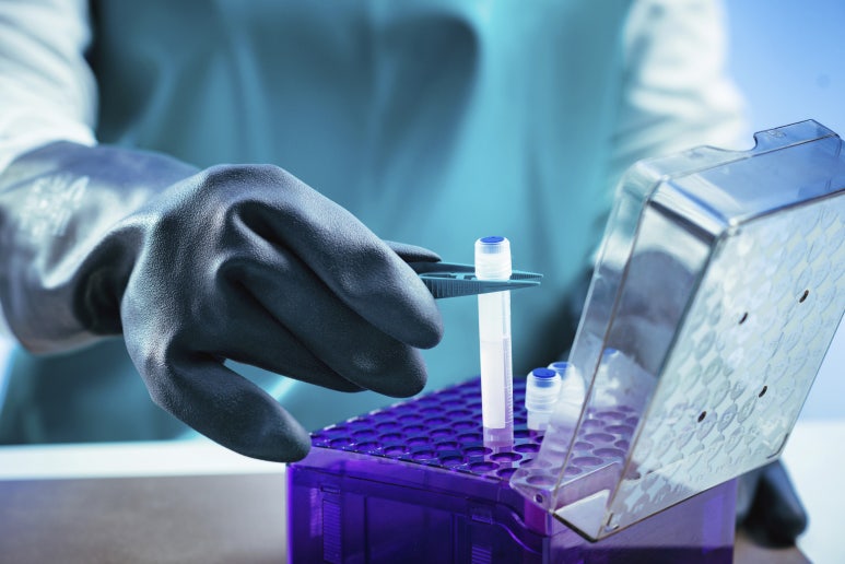 img 1760925950 68f598fed0374