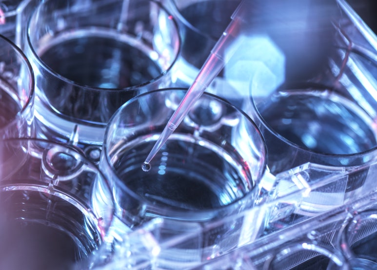 img 1760927321 68f59e5965bde