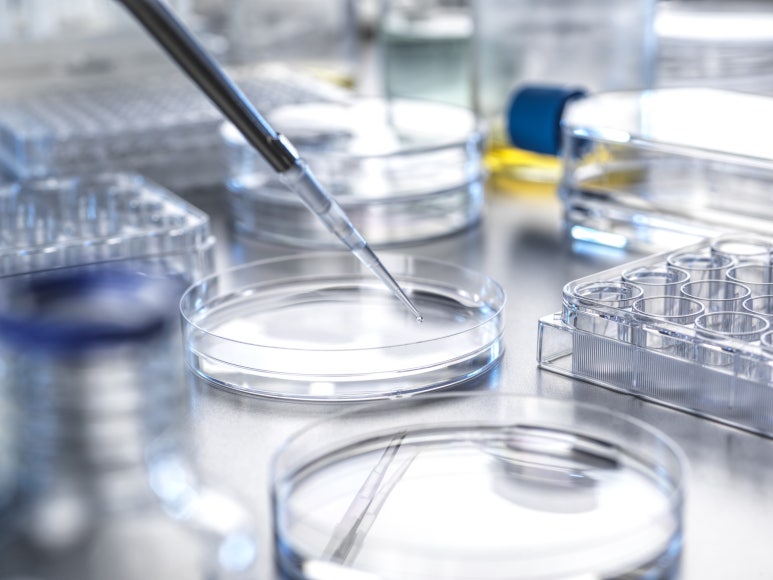 img 1760927950 68f5a0ce78258